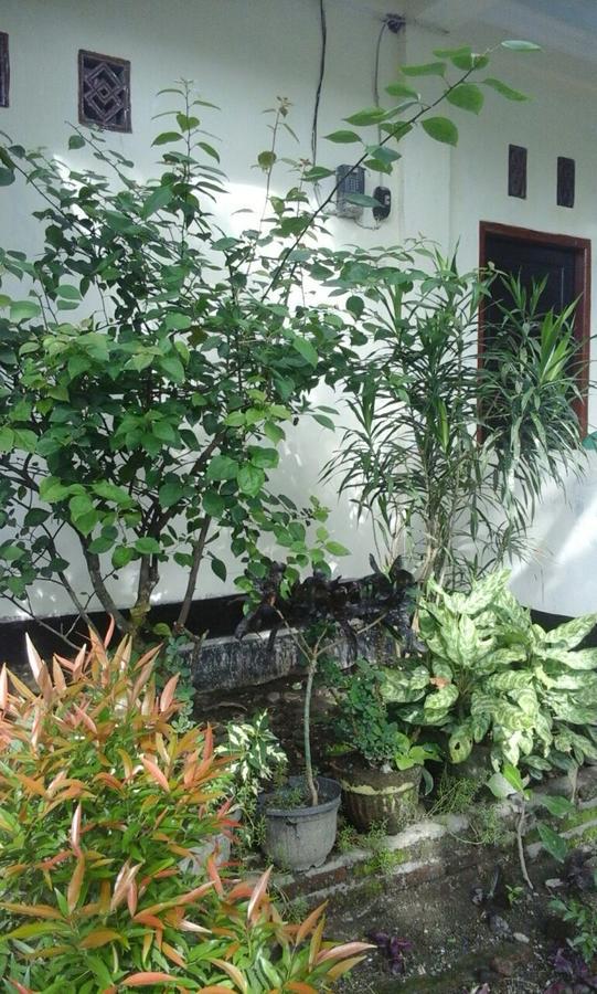Pedek Homestay 프라야 외부 사진
